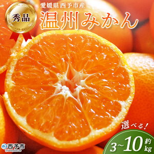 yӂ邳Ɣ[Łz\sY B݂ Gi 3kg/5kg/10kg Iׂ B 񂵂イ݂ EVE~J  ~J ݂ ʕ t[c k Y QY TCY܂ Yi 