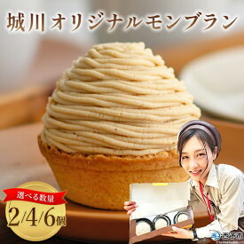【ふるさと納税】栗 スイーツ ＜城川オリジナル モンブラン 2/4/6個入り＞ マロン くり クリ 国産 和栗 ペースト クリーム 渋皮煮 スポンジケーキ 生クリーム チーズ バター タルト メニークエスト 愛媛県 西予市【冷凍】『3か月以内に順次出荷予定』ふるさと納税モンブラン