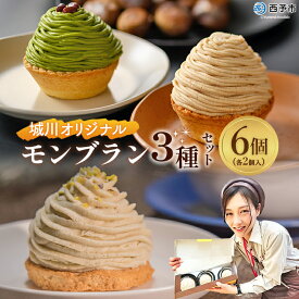 【ふるさと納税】栗 スイーツ ＜城川オリジナルモンブラン3種セット 合計6個（各種2個入）＞ マロン 抹茶 ケーキ 和栗ペースト 渋皮煮 チーズアパレイユ 粒あん 小豆 スポンジケーキ タルト ダックワーズ メニークエスト 愛媛県 西予市【冷凍】『3か月以内に順次出荷』