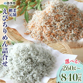 【ふるさと納税】＜老舗網元 えびちりめん詰め合わせ(合計260g/480g/840g)＞※1か月以内に順次出荷 ちりめんじゃこ かたくちいわし カタクチイワシ 小魚 カルシウム 乾物 マルヨシ水産 特産品 愛媛県 西予市 【冷蔵】
