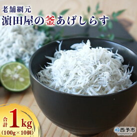 【ふるさと納税】＜老舗網元 濱田屋の釜あげしらす 合計1kg（100g×10個）＞ 釜揚げ シラス じゃこ 海鮮 海産物 丼 おにぎり 具材 ごはんのお供 おつまみ おやつ 小魚 カルシウム 乾物 小分け 国産 マルヨシ水産 特産品 愛媛県 西予市【冷凍】『1か月以内に順次出荷予定』