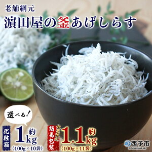 yӂ邳Ɣ[ŁzVܖԌ _c̊炷 v1kgi100g×10܁j^v1.1kgi100g×11܁j ʌ ϔ ȈՕ Iׂ g VX Ⴑ CN CY     JV