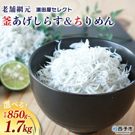 【ふるさと納税】＜老舗網元濱田屋セレクト 釜あげしらす＆ちりめん (合計850g/合計1.7kg)＞ セット 詰合せ 釜揚げ シラス じゃこ 海鮮 海産物 丼 おにぎり 具材 ご飯 おつまみ おやつ 小魚 乾物 国産 マルヨシ水産 特産品 愛媛県 西予市【冷凍】『1か月以内に順次出荷予定』