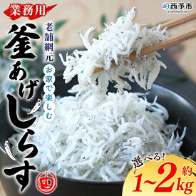 【ふるさと納税】【発送月が選べる】＜老舗網元 お家で楽しむ 業務用 釜あげしらす（合計約1kg/2kg）＞釜揚げ しらす シラス ちりめん じゃこ 海鮮 海産物 丼 おにぎり 具材 ご飯 おつまみ おやつ 小魚 乾物 国産 マルヨシ水産 特産品 愛媛県 西予市【冷凍】