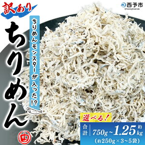 【ふるさと納税】<ちりめんモンスターが入った!? 訳あり ちりめん 約750g(250g×3袋)/約1.25kg(250g×5袋)>ちりめんじゃこ 海鮮 海産物 丼 おにぎり 具材 ご飯 おつまみ おやつ 小魚 乾物 国産 マル