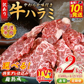 【ふるさと納税】TVで紹介！＜やわらか 味付き 牛ハラミ 約500g／1kg／2kg 配送回数：1～6回＞ テレビ 選べる 内容量 定期便 味付け 特製タレ漬け 麹熟成 訳あり 牛肉 肉 ハラミ 赤身 大容量 おかず 簡単 焼肉 BBQ 丸和 愛媛県 西予市【冷凍】『最短10営業日以内に順次出荷』