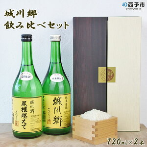 日本酒 愛媛県 2本の人気商品 通販 価格比較 価格 Com