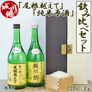 yӂ邳Ɣ[Łz{ 싽uzāvuČvݔ Zbg 720ml×2{   ʏĎ ˂ Mtg 蕨 p j j j ƈ  t 