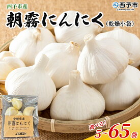 【ふるさと納税】＜西予市産 朝霧にんにく（乾燥小袋）1袋20g入り 5～65袋セット＞ 選べる 内容量 国産 ニンニク 小分け 5袋 15袋 30袋 65袋 セット 愛媛県産 野菜 やさい ドライ 大粒 ストック 特産品 ノムランド 愛媛県 西予市【常温】『1ヶ月以内に順次発送』