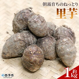【ふるさと納税】＜朝霧育ちのねっとり里芋 約1kg＞野菜 やさい さといも サトイモ 国産里芋 愛媛県産 野村町 ねっとり 粘り ほくほく もちもち 新鮮 煮物 家庭用 料理用 冬野菜 期間限定 数量限定 ノムランド 愛媛県 西予市【常温】『2026年1月～3月に順次出荷予定』