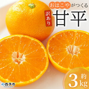 yӂ邳Ɣ[Łz󂠂 ͂₪ Õ 3kg PA ƒp p ʕ  ʎ t[c k ؂ JyC ݂ ~J  Yi Fa Q \s 