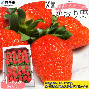 �y�ӂ邳�Ɣ[�Łz���C�`�S�u�������v��280g×4�p�b�N ��|�_�������� ������� �C�`�S ������ � �ʕ� �������� �t���[�c �X�g���x���[ �{ ���Ԍ��� �G�ߌ��� ���Y�i �_�ƒ��� �Y�n���� ��