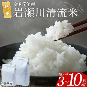 yӂ邳Ɣ[ŁzVāߘa7NY RVqJ ␣쐴 3kg/5kg/10kg Iׂ 3L 5L 10L Ђ  R      Nx Yi QY \sY FaY OT