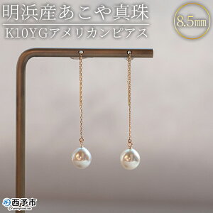 yӂ邳Ɣ[ŁzlY^8.5mm K10YGAJsAX AR^ p[ hbv^ WG[ ANZT[ v[g Mtg  LO iۏ؏t i`J[