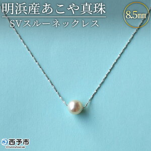 yӂ邳Ɣ[ŁzlY^8.5mm SVX[lbNX AR^ p[ WG[ ANZT[ v[g Mtg  LO iۏ؏t Vo[ i`J[ V