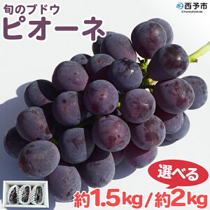 yӂ邳Ɣ[Łz\t{̃uhEusI[lv1.5kg^2kg Iׂ ʕ t[c Ԃǂ uhE  Â  Ԍ Gߌ Hׂĉ Yi Q \sy①zw