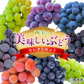 【ふるさと納税】先行予約＜西予の美味しいぶどう セレクトセット＞ 果物 くだもの フルーツ ぶどう 葡萄 ブドウ 選べる セット 詰め合わせ つめあわせ 食べ比べ お楽しみ おまかせ 野菜ソムリエ 食べて応援 特産品 産地直送 西予ぶどう倶楽部 愛媛県 西予市【冷蔵】