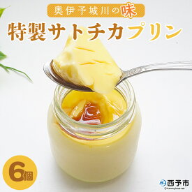 【ふるさと納税】＜奥伊予城川の味 特製サトチカプリン 100g×6個＞ スイーツ デザート ぷりん おやつ ティータイム のし対応可 お祝い 内祝い ギフト 贈答 贈り物 プレゼント 愛媛県 西予市【冷蔵】『1か月以内に順次出荷予定』