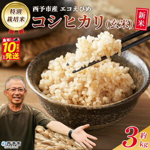 yӂ邳Ɣ[ŁzVāߘa7NY \sY ʍ͔| GRЂ RVqJ  3kgY _Ew엿sgp ꓙ 3L QY Ђ   R ܂ Yn 