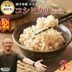 【ふるさと納税】＜令和7年産 西予市産 特別栽培米 エコえひめ コシヒカリ 玄米 約3kg＞国産 農薬・化学肥料不使用 一等米 3キロ 愛媛県産 こしひかり お米 米 コメ げんまい 産地直送 送料無料 シゲちゃん農園 愛媛県 西予市【常温】『最短10営業日以内に順次発送予定』