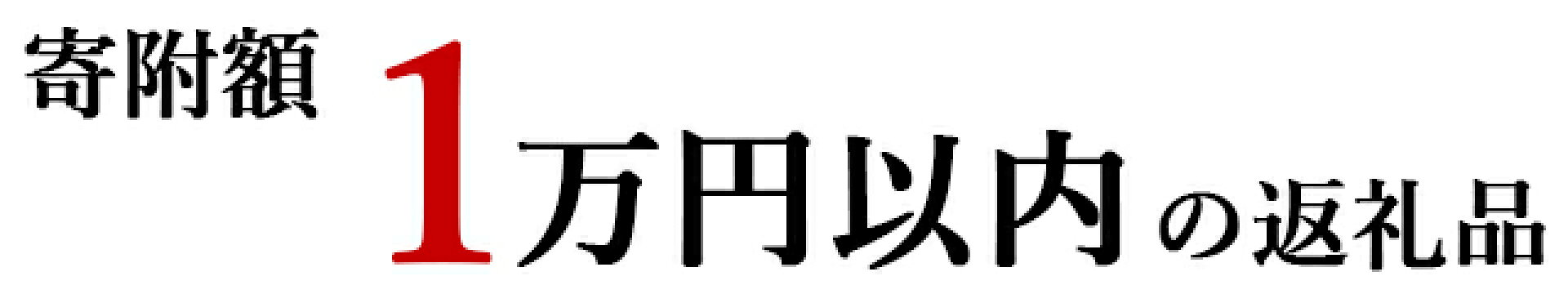 寄附額1万円以内の返礼品