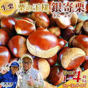 yӂ邳Ɣ[ŁzỈl IiIj2L`3Li1kg`4kgj Iׂ e TCY  悹 Â I aI } I  I͂ IƂ ØI { Y Yn t