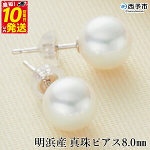 yӂ邳Ɣ[Łzۏ؏tlY ^ sAX 8.0mm 8.0`8.5mm Y i AR^ FaC AR  p[ ANZT[ tH[} t@bV fB[X  a LO