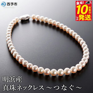 yӂ邳Ɣ[Łzۏ؏tlY^lbNX `Ȃ` 7.5`9.5mm Y i AR^  񂶂 FaC p[ 嗱 ANZT[ tH[} fB[X  a 