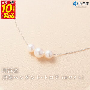 yӂ邳Ɣ[Łzۏ؏tlY^y_gEgA(zCg) 8.0`8.5mm Y i AR^ FaC p[  lbNX ANZT[ fB[X  a LO 