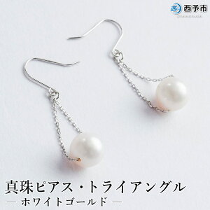揺れる ピアス かわいいの人気商品 通販 価格比較 価格 Com
