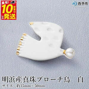 yӂ邳Ɣ[Łzۏ؏tlY ^u[`Eij8.0`8.5mm Y i AR^ FaC p[ AR ANZT[  t@bV fB[X   a LO