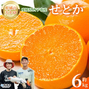 �y�ӂ邳�Ɣ[�Łz�����Ƃ� ��6kg�� �Z�g�J ���k�̑�g�� �R�N�|�� ���� �Z���Â� ���Q���Y 6�L�� ���k �ʕ� �������� �t���[�c �~�J�� �݂��� ���� �Z�� �������k ���Y ���Y�i �Ƃ肱�_�� ���Q