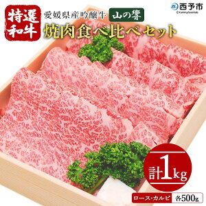 yӂ邳Ɣ[ŁzQYuR̋vIaē Hה׃Zbg v1kgi500g×2j  Y јa Ă ₫ɂ Jbg [X Jr y O j j 