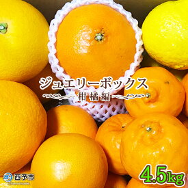 楽天市場 みかん 品種 みかん はっさく フルーツ 果物 食品 の通販