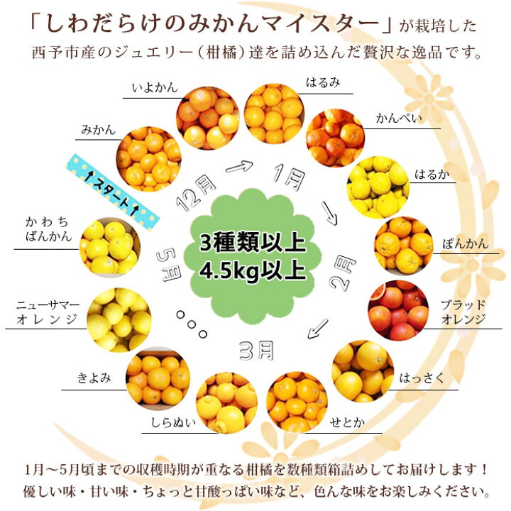 楽天市場 ふるさと納税 ジュエリーボックス 柑橘編 柑橘多品種 計4 5kg 出荷月をお選びください みかん ミカン せとか きよみ いよかん ばんかん はるか 果物 フルーツ デザート 渡江から一歩を踏み出す会 特産品 愛媛県 西予市 常温 愛媛県西予市 楽天市場 ふるさと納税 ジュエリーボックス 柑橘編 柑橘多品種 計4 5kg 出荷月をお選びください みかん ミカン せとか きよみ いよかん ばんかん はるか 果物 フルーツ デザート 渡江から一歩を踏み出す会 特産品 愛媛県 西予市 常温 愛媛県西予市