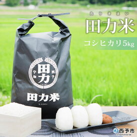 【ふるさと納税】新米 ＜令和5年産 田力米5kg コシヒカリ＞ お米 こしひかり コメ おこめ 特産品 愛媛県 田力本願 西予市 【常温】『1か月以内に順次出荷予定』