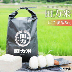 yӂ邳Ɣ[ŁzVāߘa7NY c͕ 5kg ɂ܂遄  R    ͂ Yi Yn c͖{ Q \sy퉷zw2025N10{菇oח\x