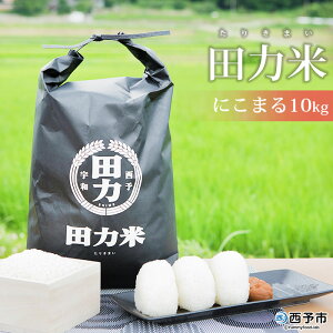 yӂ邳Ɣ[ŁzVāߘa7NY c͕ 10kg ɂ܂遄  R    ͂ Yi Yn c͖{ Q \sy퉷zw2025N10{菇oח\x