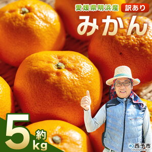 yӂ邳Ɣ[Łzs\񁃖lY 󂠂 ݂ 5kg ʕ  t[c  ݂ ~J k PA ƒp Hׂĉ Y QY Yi UÔ_nwp[g Q 