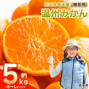 【ふるさと納税】先行予約<明浜産 温州みかん S〜Lサイズ 約5kg 贈答用> 果物 くだもの フルーツ 蜜柑 みかん ミカン 柑橘 ギフト うんしゅうみかん 食べて応援 国産 愛媛県産 特産品 俵津