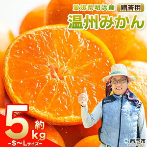 yӂ邳Ɣ[Łzs\񁃖lY B݂ S`LTCY 5kg p ʕ  t[c  ݂ ~J k Mtg 񂵂イ݂ Hׂĉ Y QY Yi U