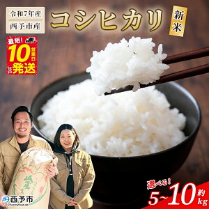 �y�ӂ邳�Ɣ[�Łz���V�� �ߘa7�N�Y ���\�s�Y �R�V�q�J�� ��5kg/10kg�� �I�ׂ� ���e�� ���� �� �R�� ���� ���� ���� ���� ���� �����Ђ��� 5�L�� 10�L�� ���Y�i ���Q���Y ������ЉF�s�{�č� ���Q