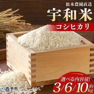 yӂ邳Ɣ[ŁzVāߘa7NY {_ FaāiRVqJj3kg^6kg^10kg Ђ  R    ܂  VN 3L 6L 10L Iׂ ٓ    