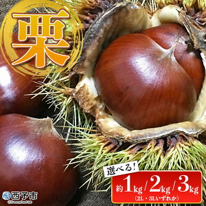 yӂ邳Ɣ[ŁzI 1kg^2kg^3kgi2L܂3LTCYjQ\sY Iׂ 󂠂 aI N  ʕ t[c } u I IƂ ØI { Yi Y H̖