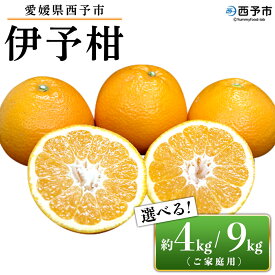 【ふるさと納税】＜愛媛県西予市産 伊予柑 ご家庭用 約4kg／9kg＞ 訳あり 果物 くだもの フルーツ みかん ミカン オレンジ 柑橘 イヨカン いよかん 選べる 食べて応援 特産品 宇都宮物産 愛媛県 西予市【常温】『2026年3月下旬迄に順次出荷予定』