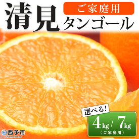 【ふるさと納税】先行予約＜愛媛県西予市産 清見タンゴール ご家庭用 約4kg／7kg＞ 訳あり ワケアリ 果物 フルーツ みかん ミカン 蜜柑 オレンジ きよみ キヨミ 柑橘類 食べて応援 旬 特産品 宇都宮物産 愛媛県 西予市【常温】『2026年3月上旬～5月上旬迄に順次出荷予定』