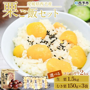 yӂ邳Ɣ[ŁzQ\sY IуZbgiI 1.5kg /ނI 150g×3܁jRVqJ 2kg Y  aI  I͂  { H̖o Q \sy①zw2025N10{