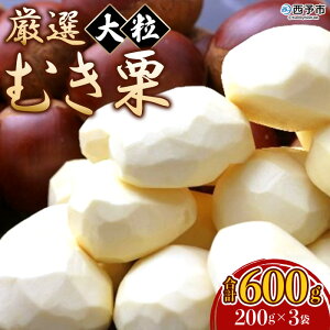 yӂ邳Ɣ[ŁzI 嗱ނI v600gi200g×3܁j  I I } t[c ʕ u I IƂ I̊ØI H̖o Yi Y Fs{Y Q \