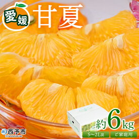 【ふるさと納税】＜愛媛県西予市産 甘夏 ご家庭用 約6kg＞ 訳あり S～2Lサイズ混合 果物 くだもの フルーツ みかん ミカン 蜜柑 あまなつ オレンジ 柑橘 不揃い 食べて応援 特産品 宇都宮物産 愛媛県 西予市【常温】『2026年3月中旬～5月中旬迄に順次出荷予定』