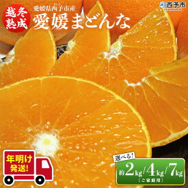 【ふるさと納税】【年明け発送】紅まどんなと同品種！＜愛媛県西予市産 越冬熟成 愛媛まどんな ご家庭用 約2／4／7kg＞ 訳あり みかん 蜜柑 ミカン 柑橘 フルーツ 愛媛果試第28号 期間限定 マドンナ 宇都宮物産【常温】『2026年1月上旬～1月下旬迄に順次出荷予定』